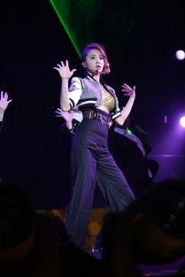 娱乐吃瓜酱看演唱会,演唱会现场狂欢瞬间 第2张 娱乐吃瓜酱看演唱会,演唱会现场狂欢瞬间 第2张