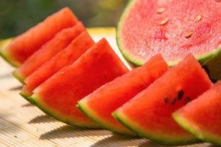 娱乐吃瓜公司有哪些名字,那些独具特色的“吃瓜”公司名大盘点 第2张 娱乐吃瓜公司有哪些名字,那些独具特色的“吃瓜”公司名大盘点 第2张