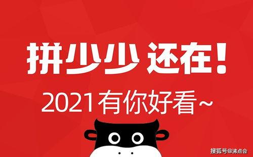 娱乐圈吃瓜的微信公众号  第3张